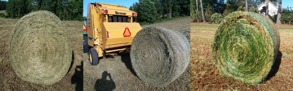 image-903028-Bales-16790.w640.jpg